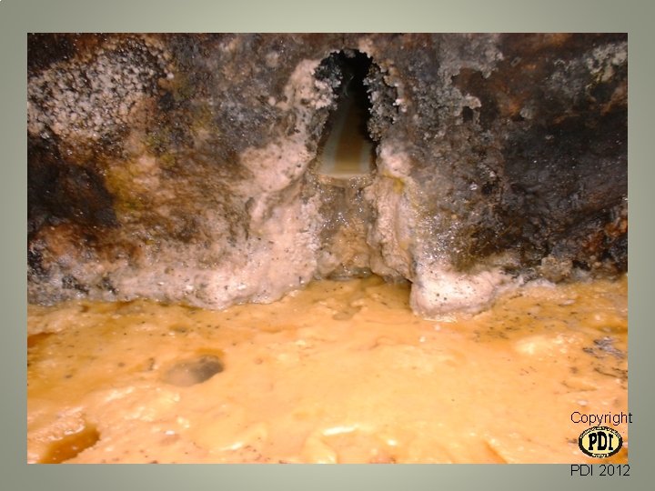 Copyright PDI 2012 Copyright PDI 2012