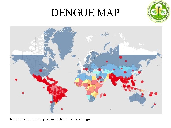 DENGUE MAP http: //www. who. int/entity/denguecontrol/Aedes_aegypti. jpg 