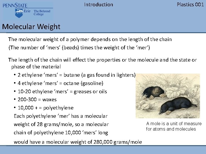 Introduction Plastics 001 Molecular Weight The molecular weight of a polymer depends on the Introduction Plastics 001 Molecular Weight The molecular weight of a polymer depends on the