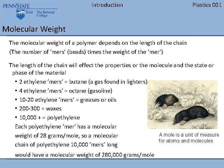 Introduction Plastics 001 Molecular Weight The molecular weight of a polymer depends on the