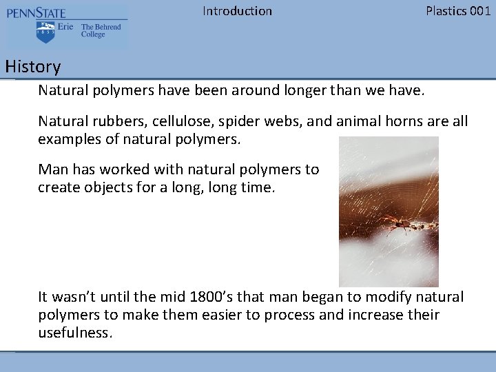 Introduction Plastics 001 History Natural polymers have been around longer than we have. Natural