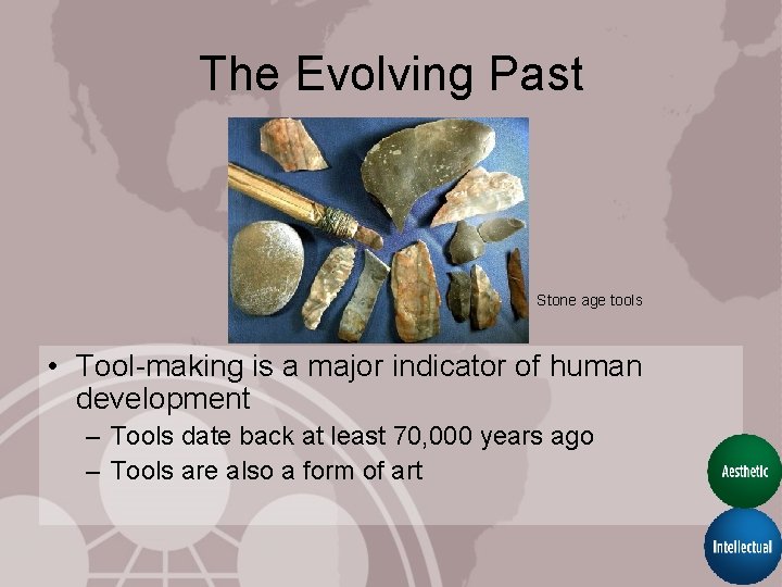 The Evolving Past Stone age tools • Tool-making is a major indicator of human