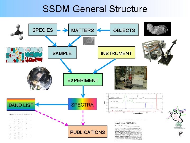 SSDM General Structure SPECIES MATTERS SAMPLE OBJECTS INSTRUMENT EXPERIMENT BAND LIST PUBLICATIONS SSDM General Structure SPECIES MATTERS SAMPLE OBJECTS INSTRUMENT EXPERIMENT BAND LIST PUBLICATIONS