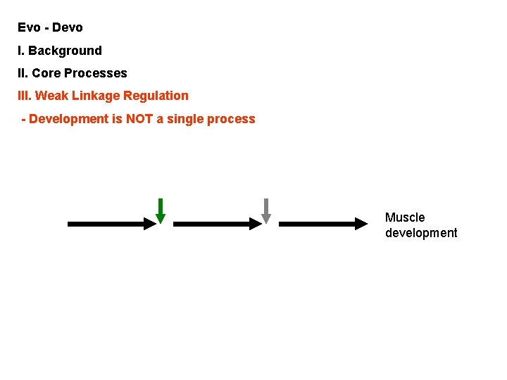 Evo - Devo I. Background II. Core Processes III. Weak Linkage Regulation - Development