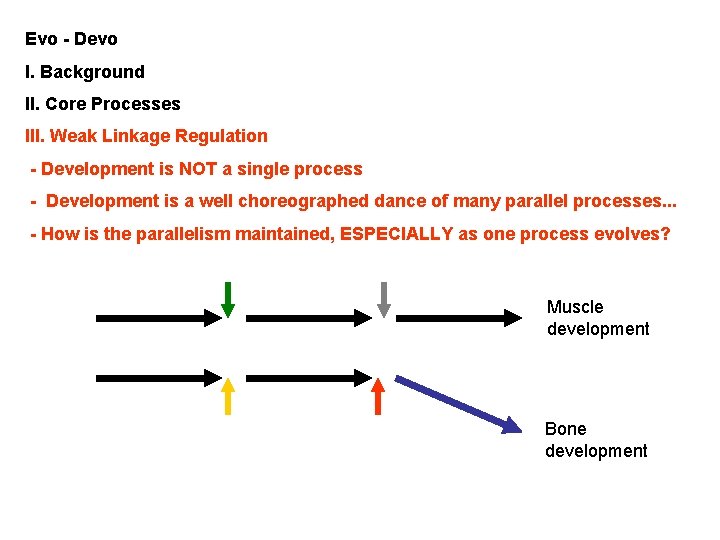 Evo - Devo I. Background II. Core Processes III. Weak Linkage Regulation - Development