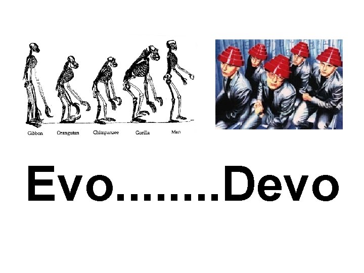 Evo. . . . Devo 