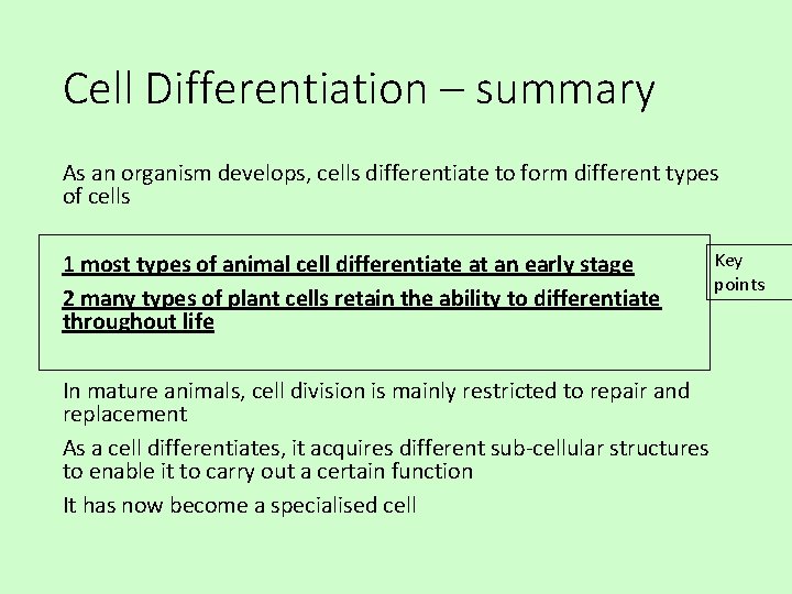 Cell Differentiation – summary As an organism develops, cells differentiate to form different types