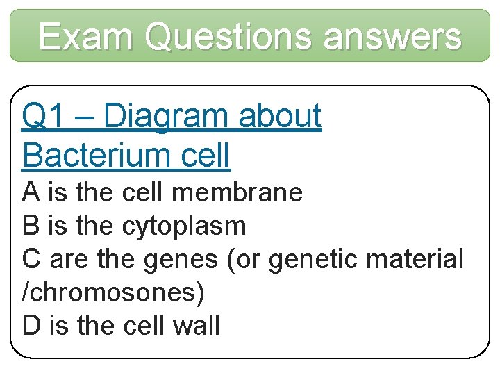 Exam Questions answers Q 1 – Diagram about Bacterium cell A is the cell