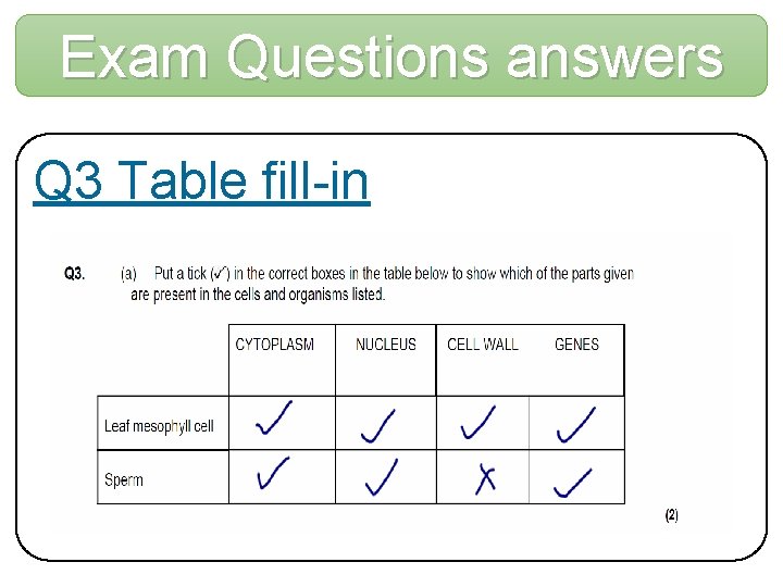 Exam Questions answers Q 3 Table fill-in 