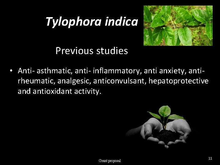 Tylophora indica Previous studies • Anti- asthmatic, anti- inflammatory, anti anxiety, antirheumatic, analgesic, anticonvulsant,