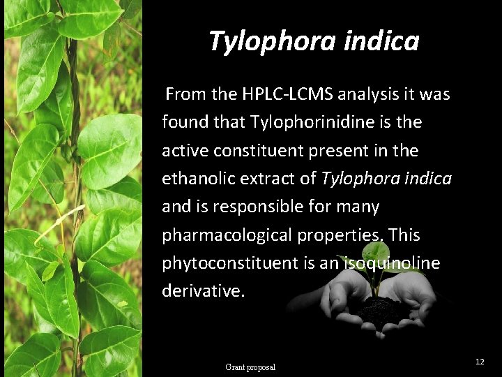 Tylophora indica From the HPLC-LCMS analysis it was found that Tylophorinidine is the active