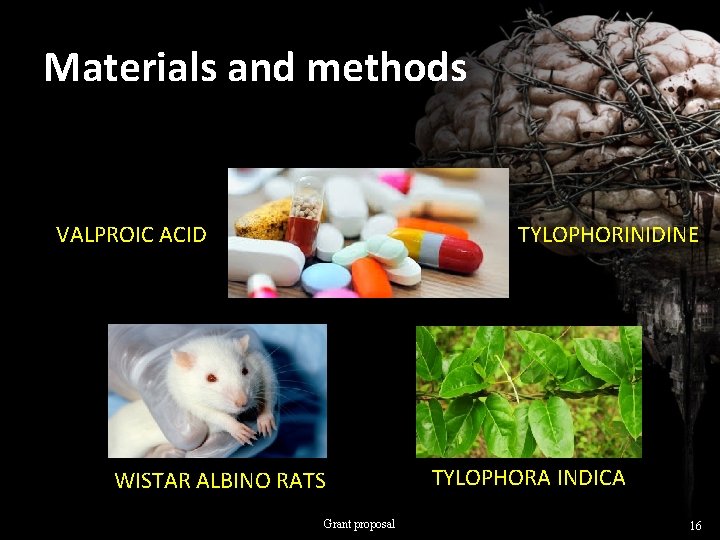 Materials and methods VALPROIC ACID TYLOPHORINIDINE WISTAR ALBINO RATS Grant proposal TYLOPHORA INDICA 16