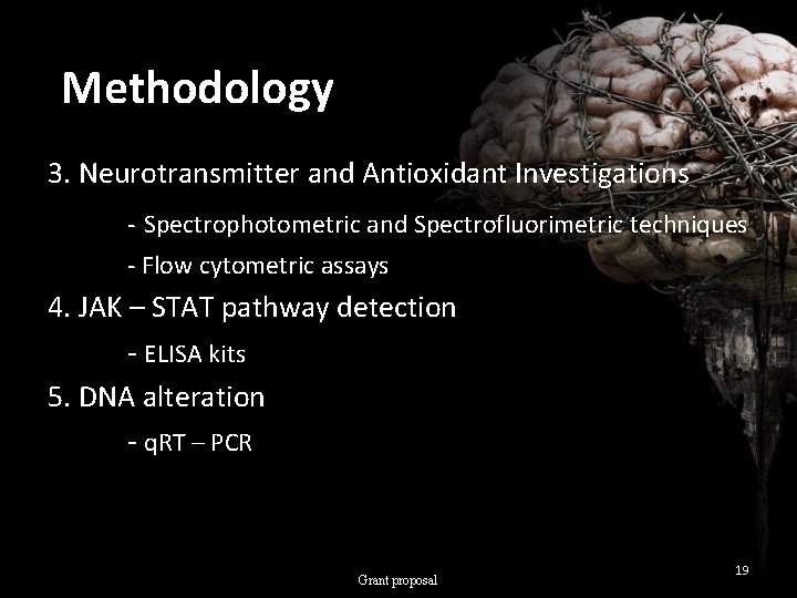 Methodology 3. Neurotransmitter and Antioxidant Investigations - Spectrophotometric and Spectrofluorimetric techniques - Flow cytometric