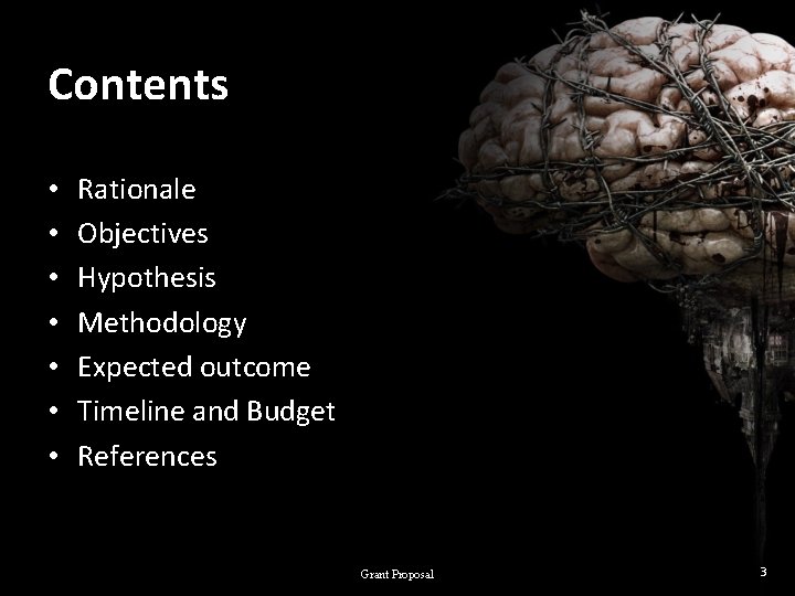 Contents • • Rationale Objectives Hypothesis Methodology Expected outcome Timeline and Budget References Grant