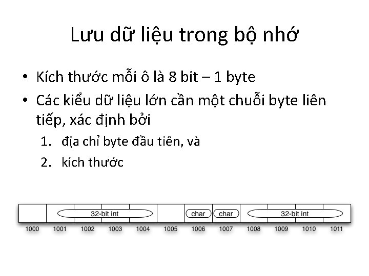 Lưu dữ liệu trong bộ nhớ • Kích thước mỗi ô là 8 bit