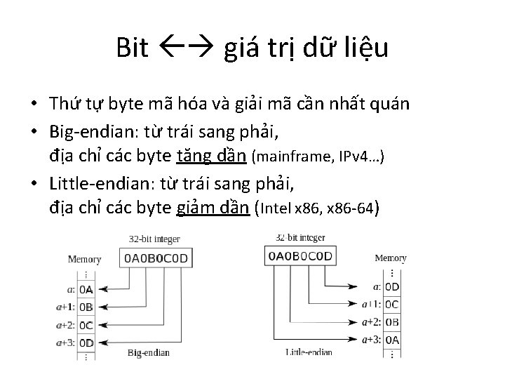 Bit giá trị dữ liệu • Thứ tự byte mã hóa và giải mã