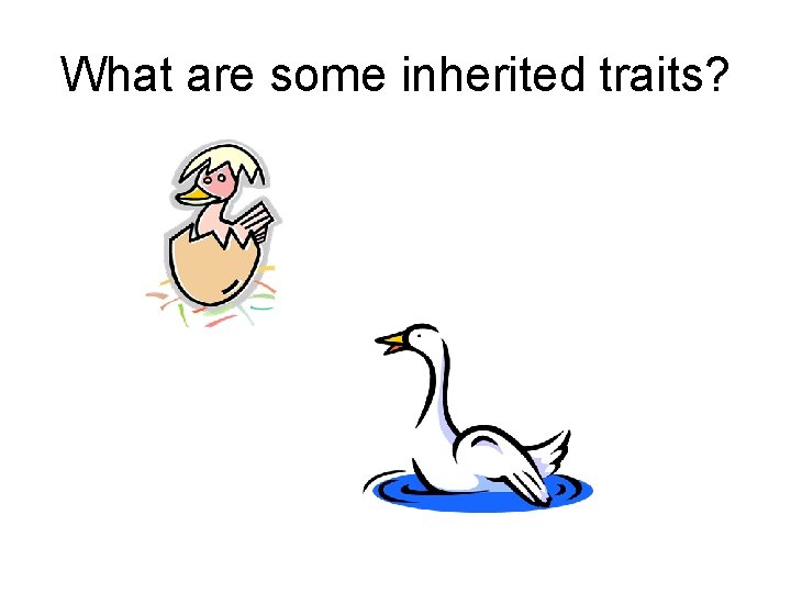 What are some inherited traits? 