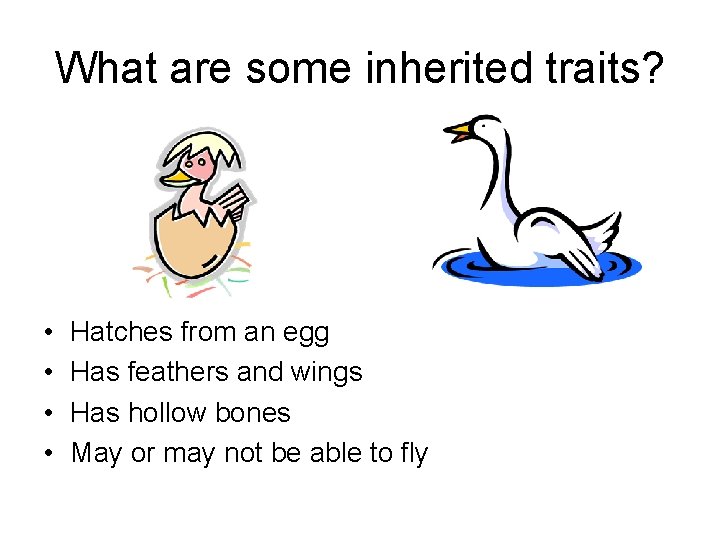 What are some inherited traits? • • Hatches from an egg Has feathers and