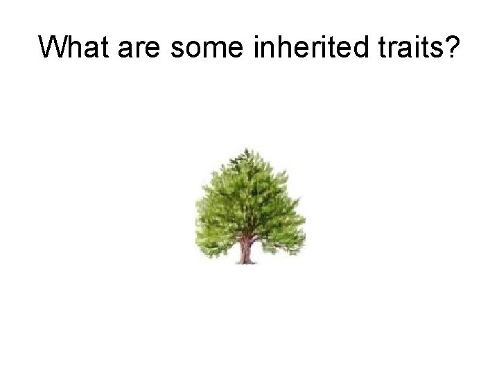 What are some inherited traits? 