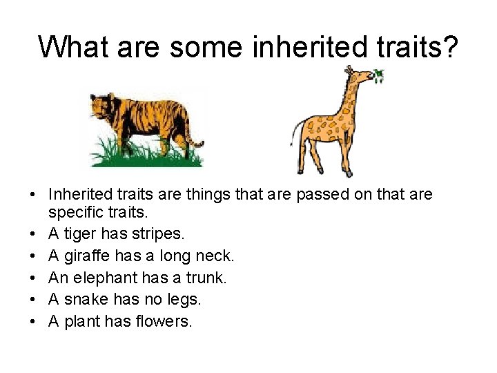 What are some inherited traits? • Inherited traits are things that are passed on