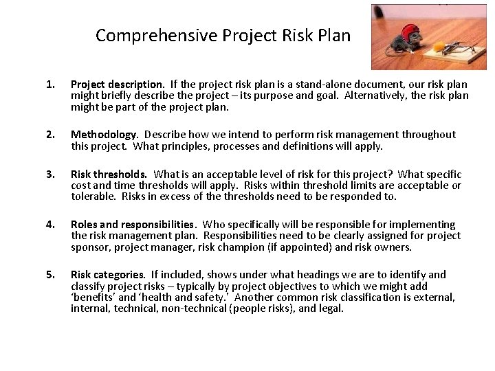 Comprehensive Project Risk Plan 1. Project description. If the project risk plan is a