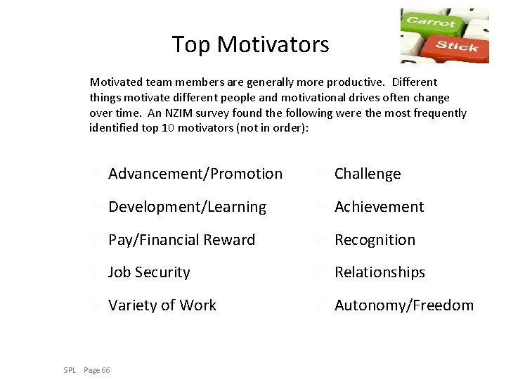 Top Motivators Motivated team members are generally more productive. Different things motivate different people