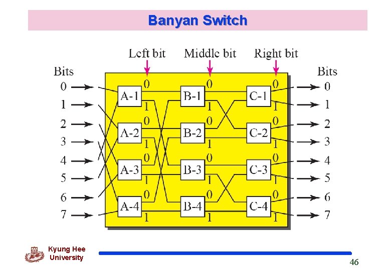 Banyan Switch Kyung Hee University 46 