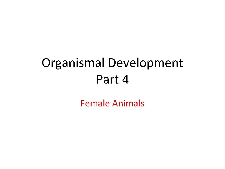 Organismal Development Part 4 Female Animals 