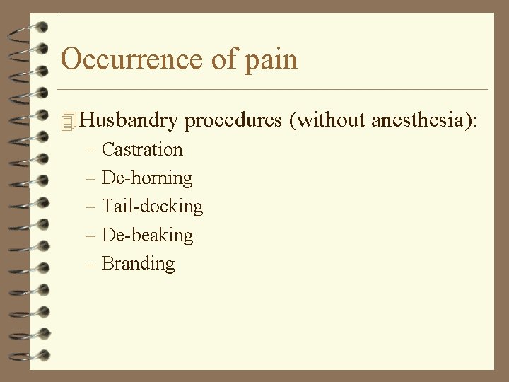 Occurrence of pain 4 Husbandry procedures (without anesthesia): – Castration – De-horning – Tail-docking