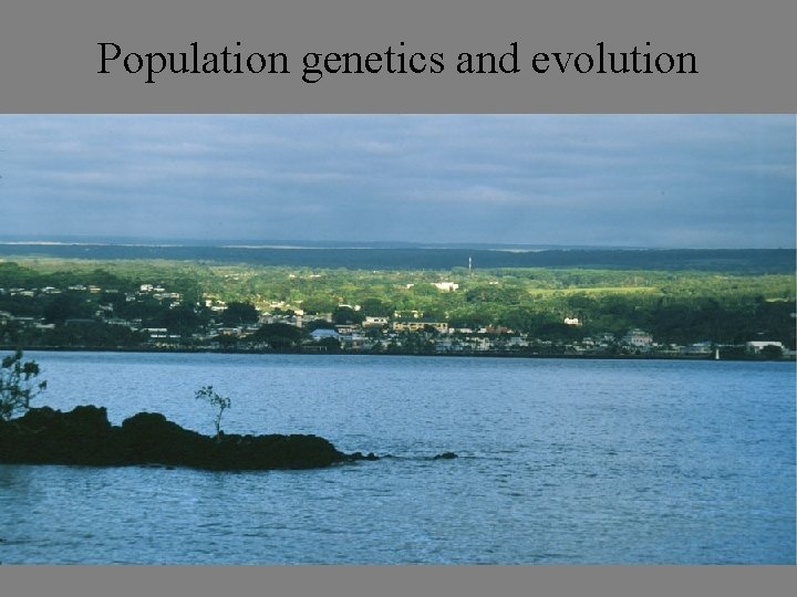 Population genetics and evolution 