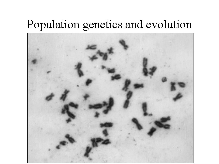 Population genetics and evolution human karyotype fig here 