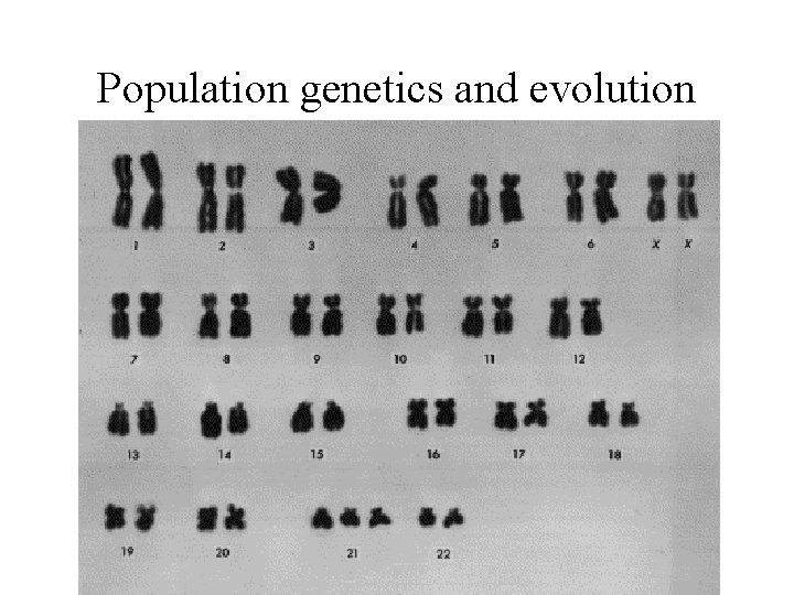 Population genetics and evolution human karyotype fig here 