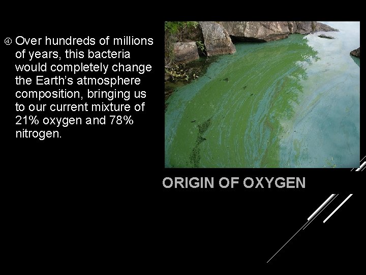  Over hundreds of millions of years, this bacteria would completely change the Earth’s