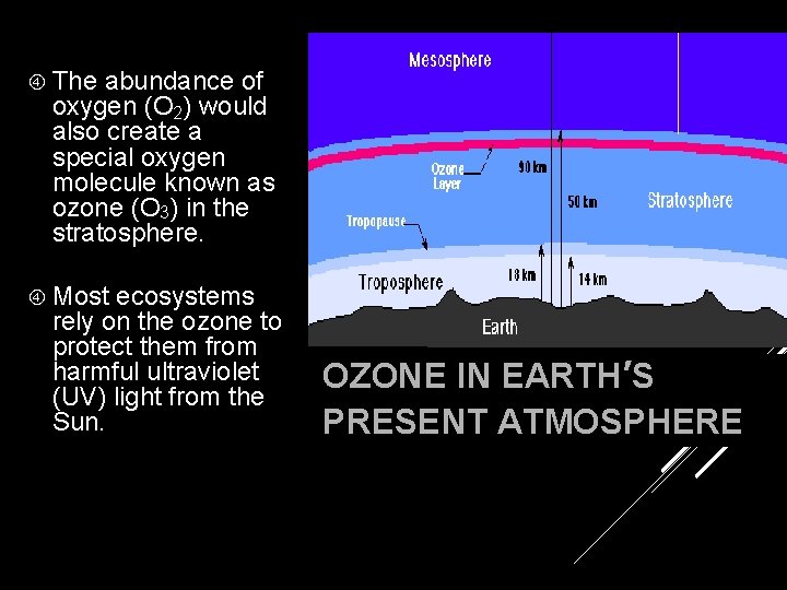  The abundance of oxygen (O 2) would also create a special oxygen molecule