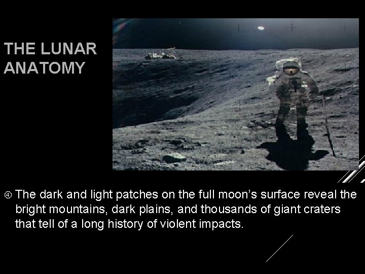 THE LUNAR ANATOMY The dark and light patches on the full moon’s surface reveal