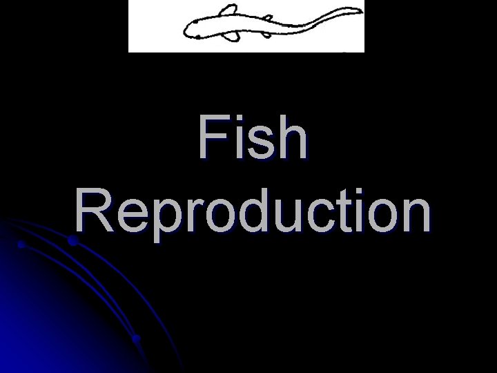 Fish Reproduction 