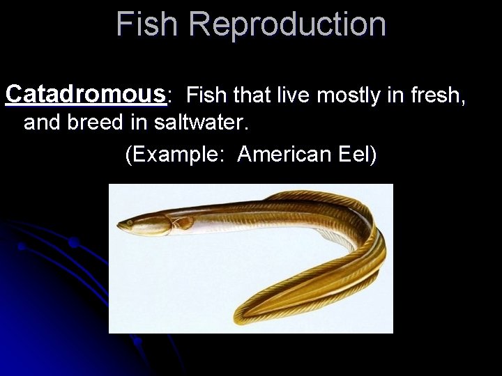 Fish Reproduction Catadromous: Fish that live mostly in fresh, and breed in saltwater. (Example:
