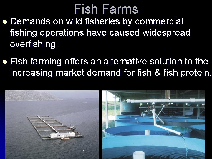 Fish Farms l Demands on wild fisheries by commercial fishing operations have caused widespread