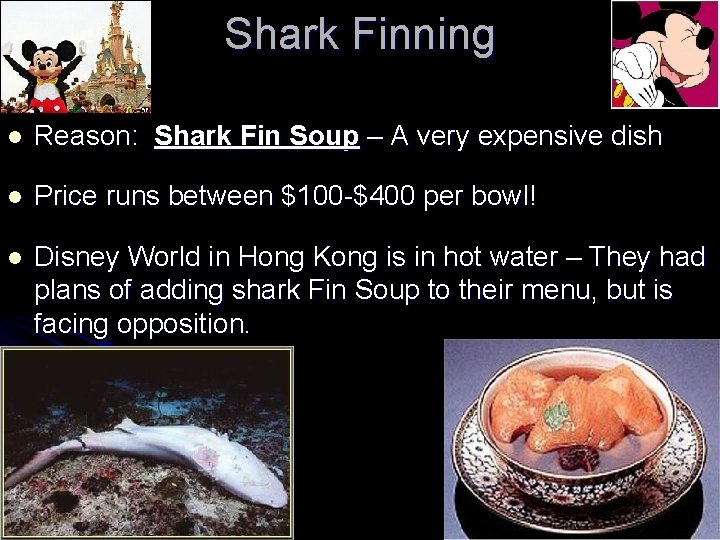 Shark Finning l Reason: Shark Fin Soup – A very expensive dish l Price