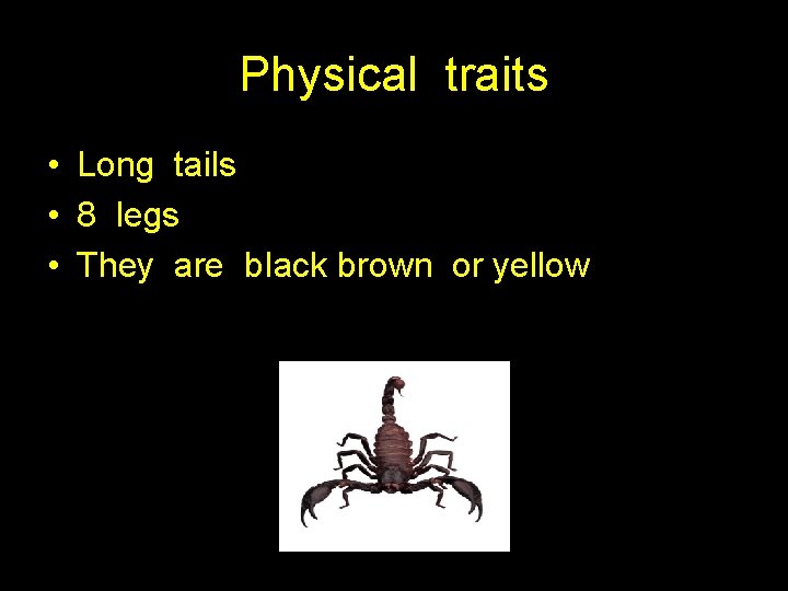 Physical traits • Long tails • 8 legs • They are b. Iack brown