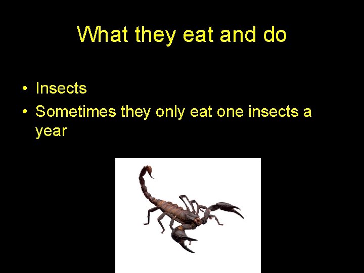 What they eat and do • Insects • Sometimes they only eat one insects