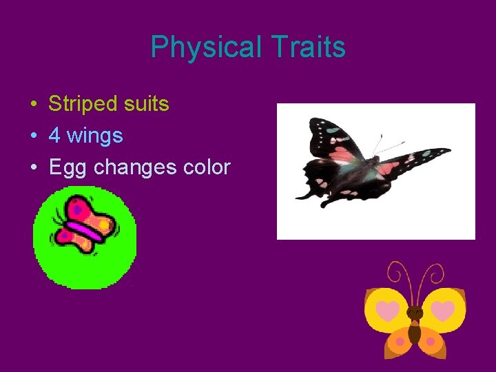 Physical Traits • Striped suits • 4 wings • Egg changes color 