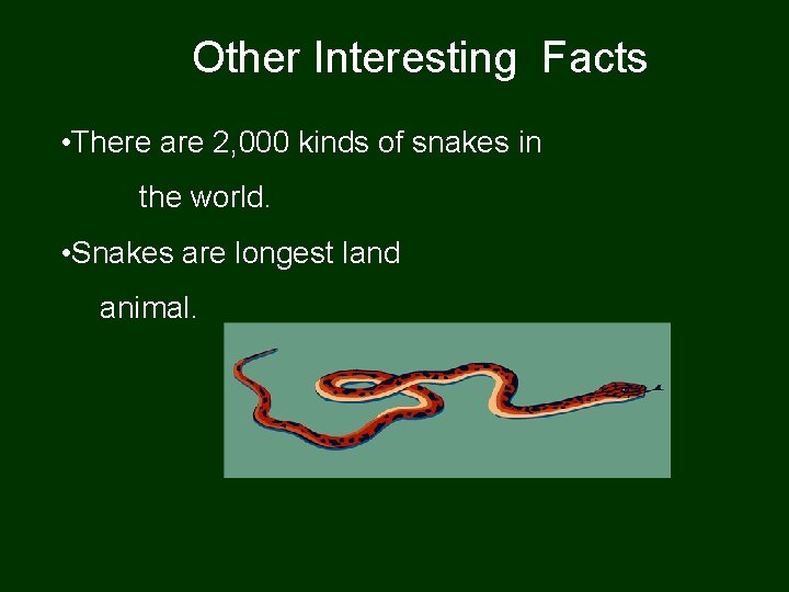 Other Interesting Facts • There are 2, 000 kinds of snakes in the world.