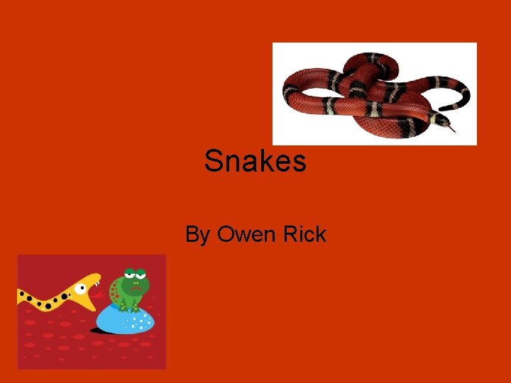 Snakes By Owen Rick 