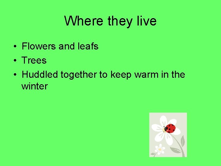 Where they live • Flowers and leafs • Trees • Huddled together to keep