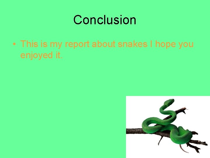 Conclusion • This is my report about snakes I hope you enjoyed it. 