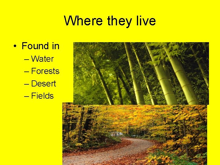 Where they live • Found in – Water – Forests – Desert – Fields