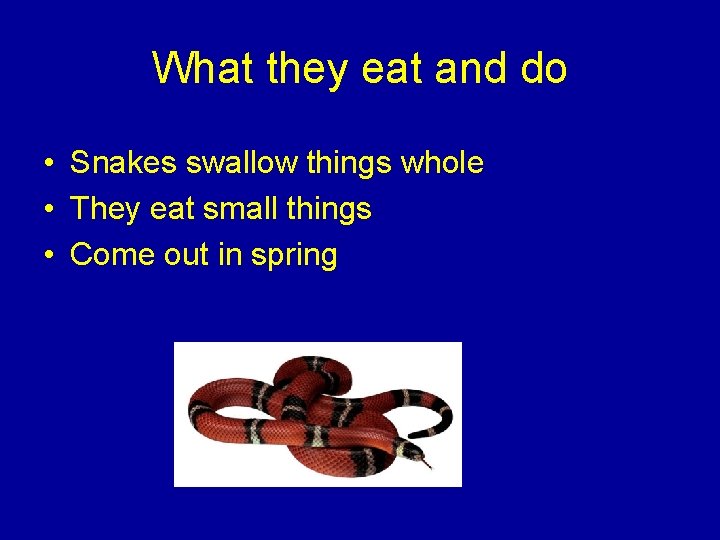 What they eat and do • Snakes swallow things whole • They eat small