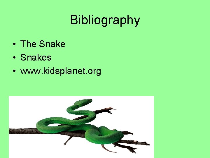 Bibliography • The Snake • Snakes • www. kidsplanet. org 