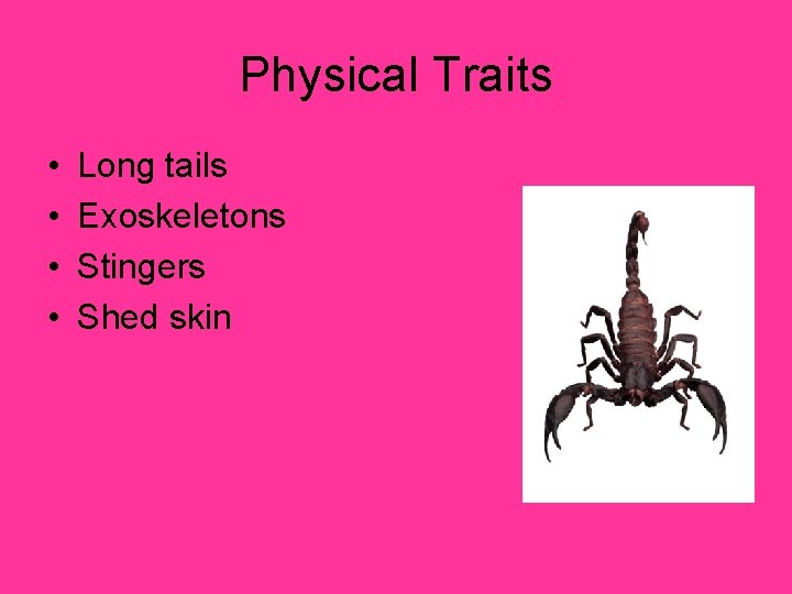 Physical Traits • • Long tails Exoskeletons Stingers Shed skin 